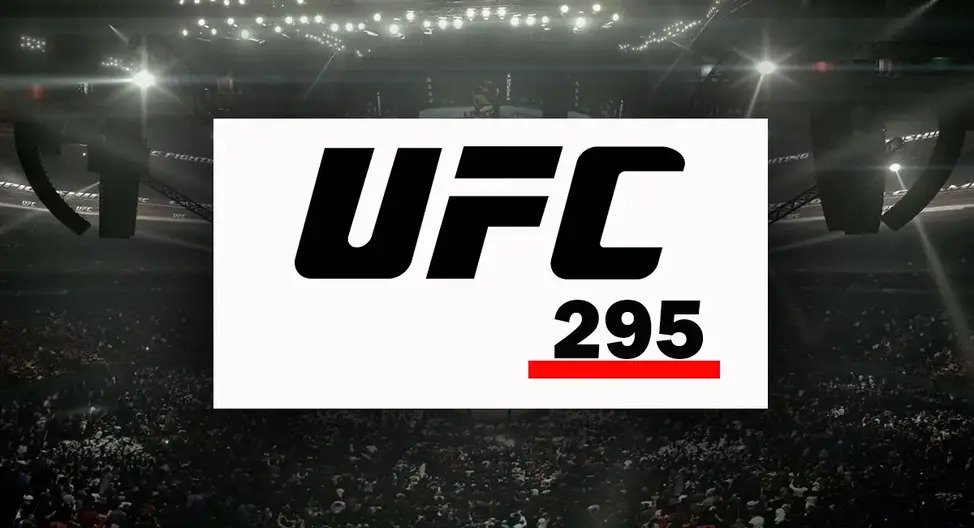 UFC 295